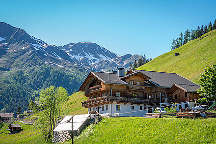 Selmerhof ab 2003 Selmerhof ab 2003